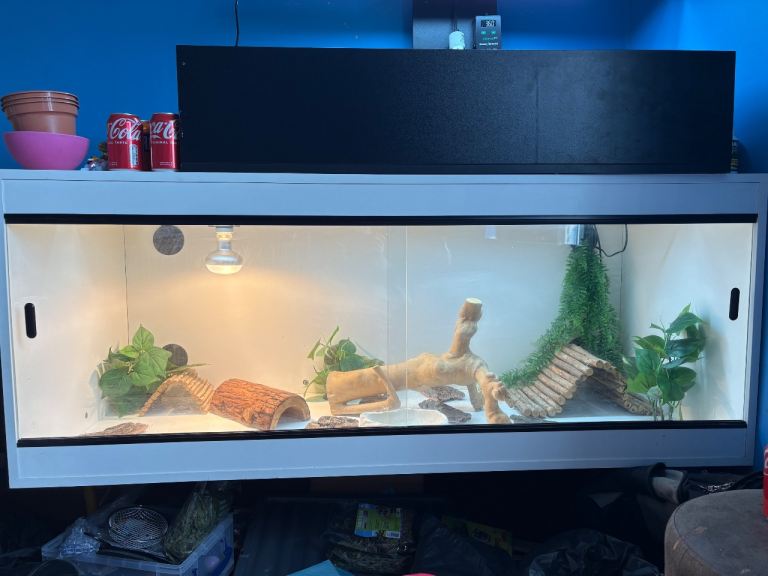 5 ft vivarium and accessories for reptile snake bearded dragon leopard gecko corn snake etc 
