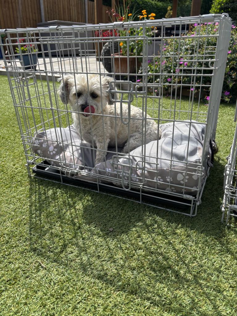 Dog Crates (2) from Pets At Home