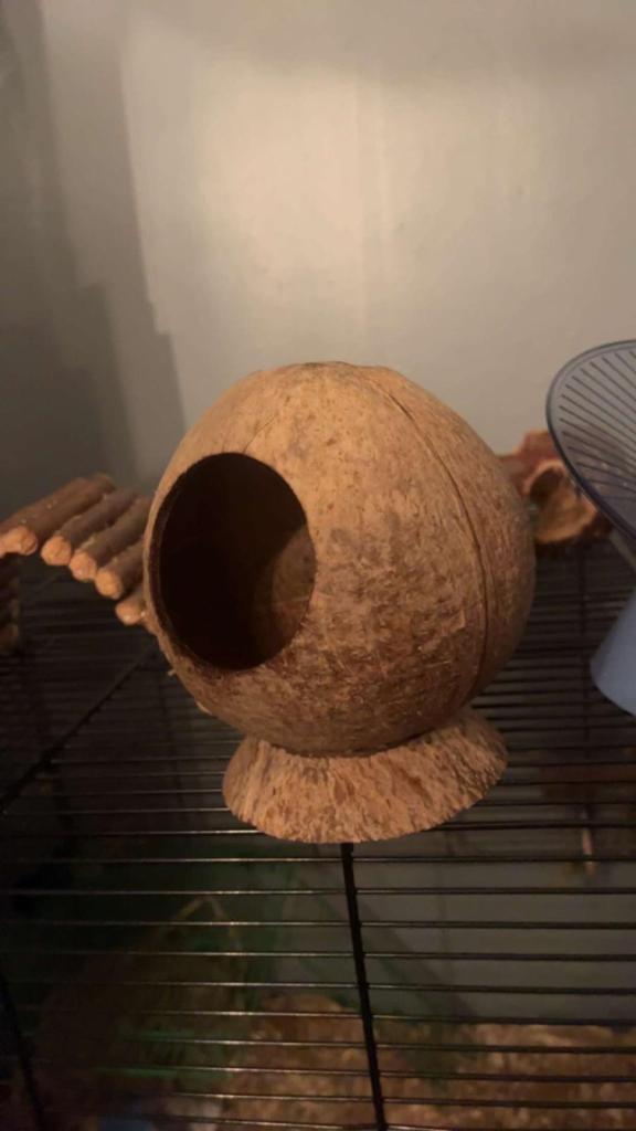 Gerbils and full set up