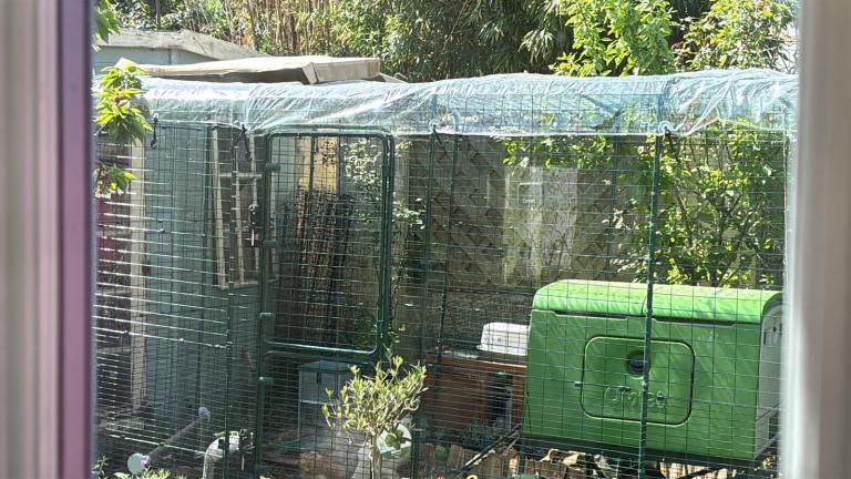 Eglu Cube MK2 for sale plus runs separate or all in (price reflects everything)