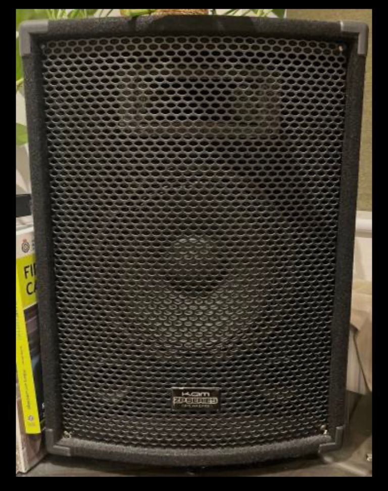 Pair of Kam ZP Series Passive Speakers with speaker cables