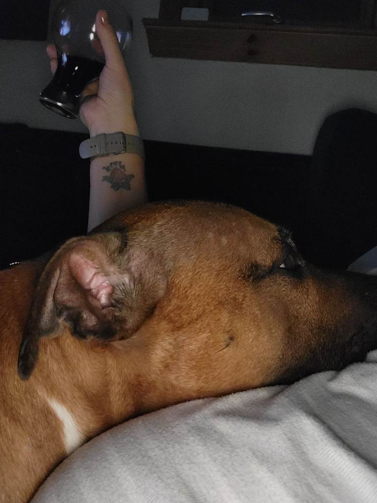 Staffordshire Bull Terrier