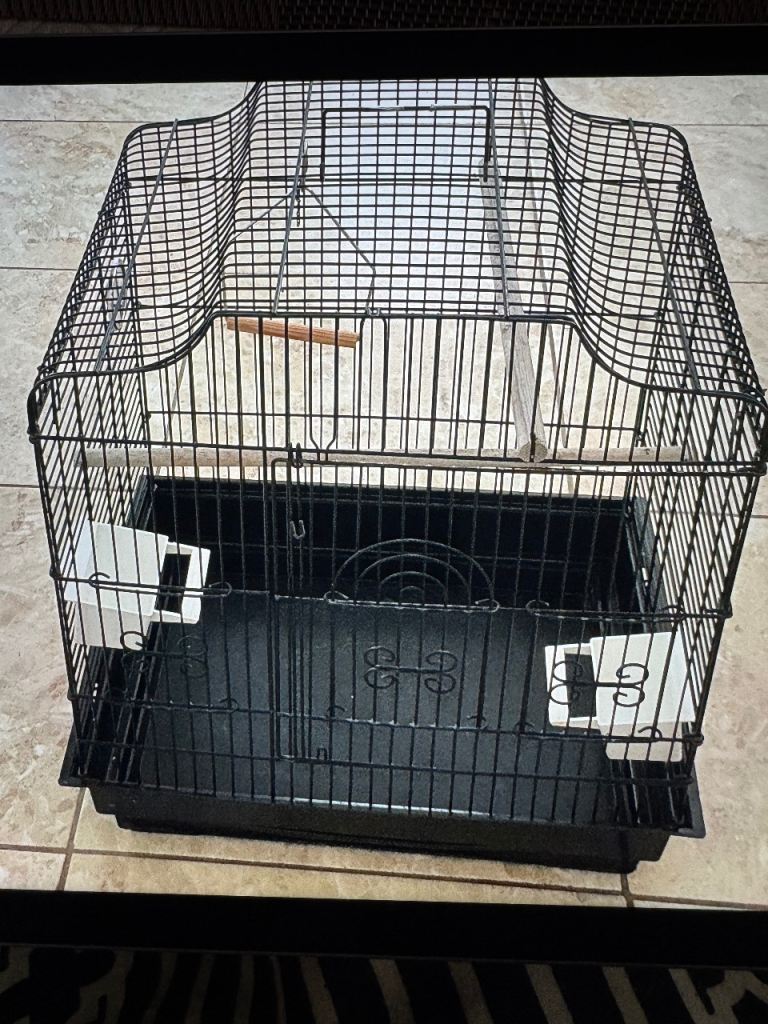 Bird Cage