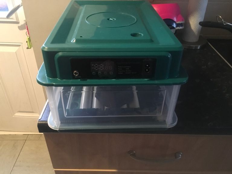 EGG INCUBATOR 