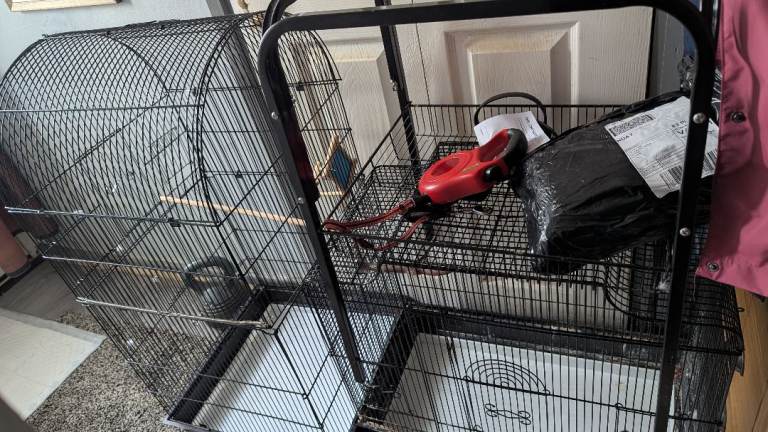 Bird cages plus one bird stand 