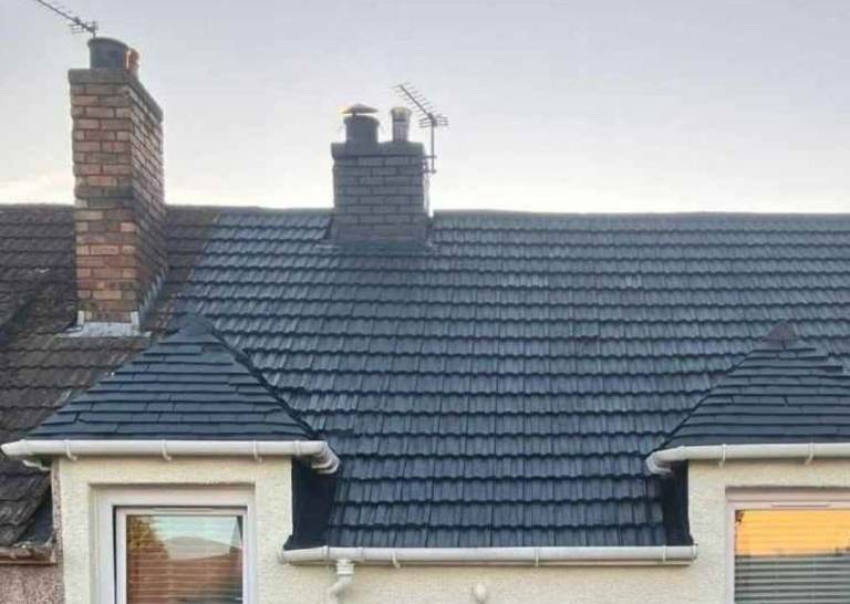 Roof and tile paint 