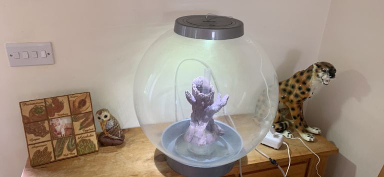 Fish tank 