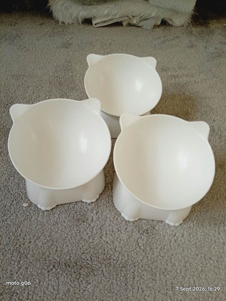 Set of 3 White Cat-Shaped Pet Food/Water Bowls