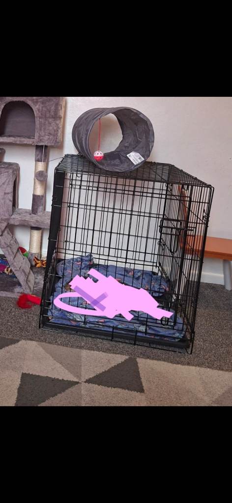 Pet crate