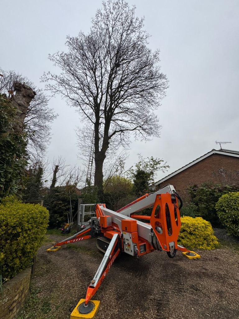 25m mewp/cherry picker hire