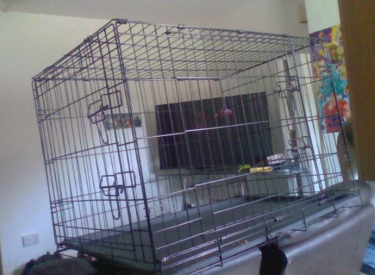 Large Dog Cage 