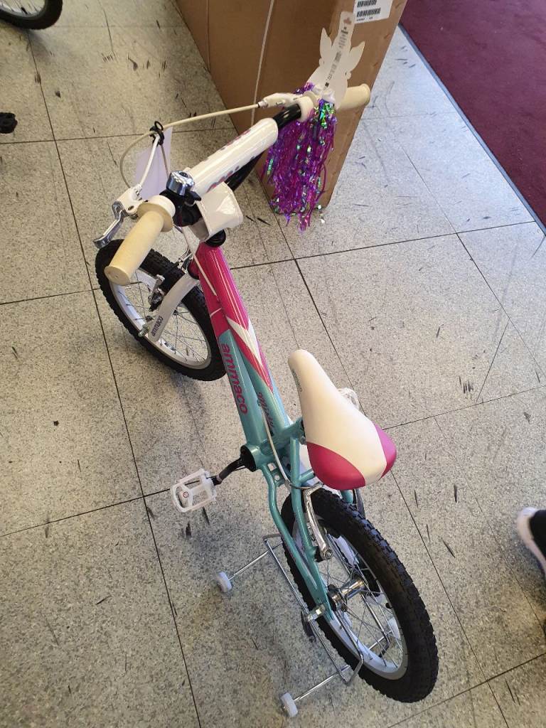 GIRLS  bike  as  new  stabilisers