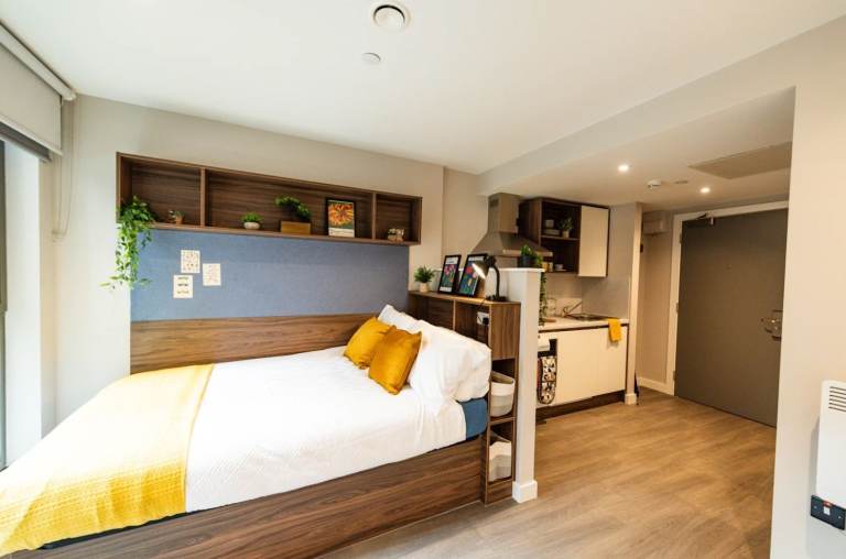 Seeking replacement tenant for nelson place bronze student studio