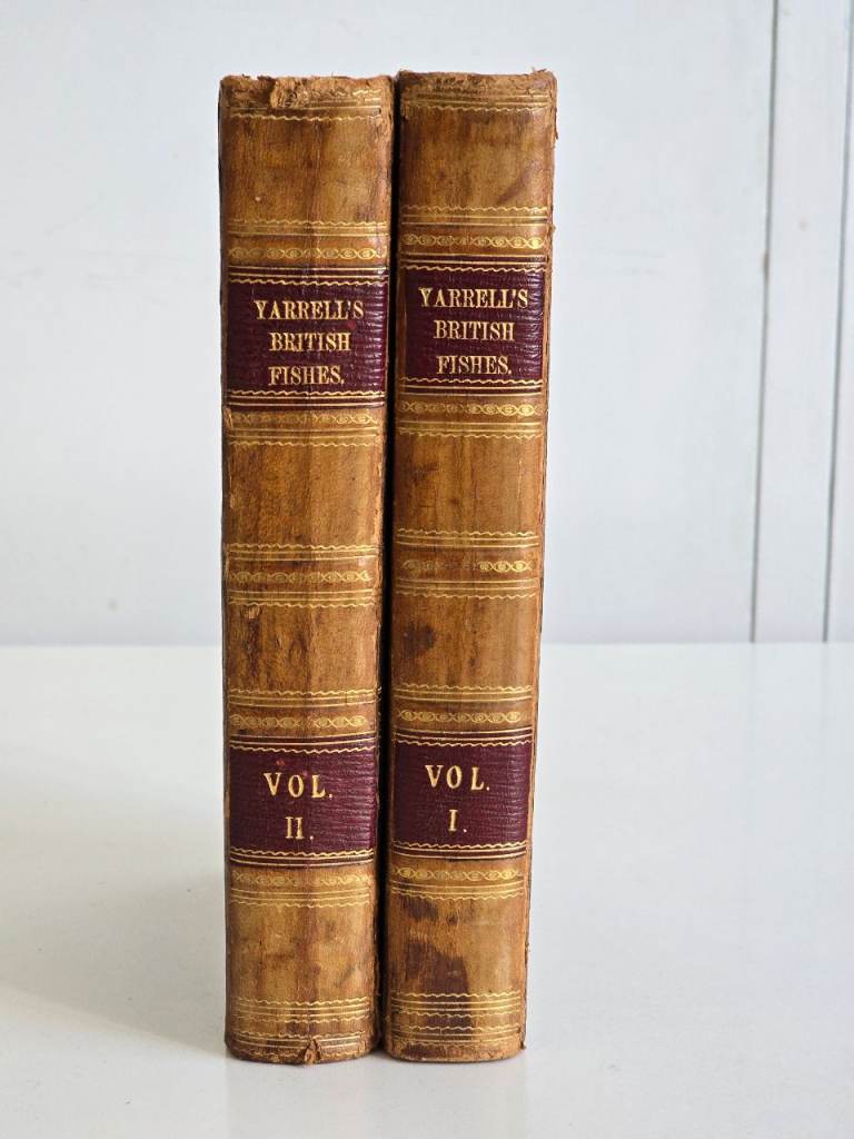 1836 Antique Rare Georgian Era History of British Fishes Books 1st Edition, 2 Volumes -190Y/O!