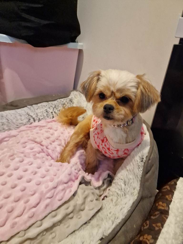 Cleo if the add is up shes still available 