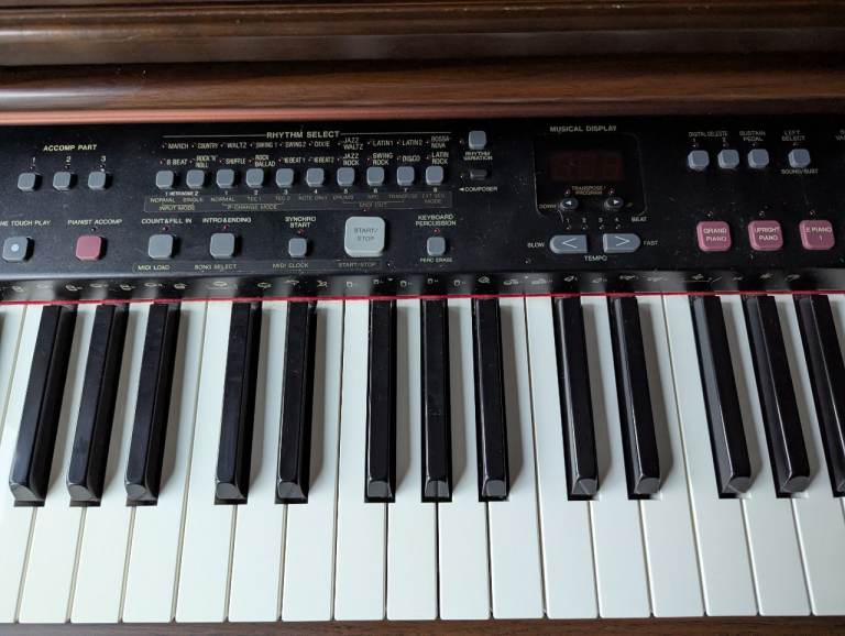 Technics - Digital Burnt Mahogany Piano - PX-PR350(5)