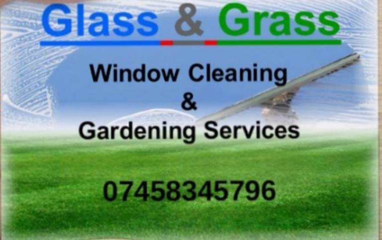 Window Cleaning & Garden Tidies.