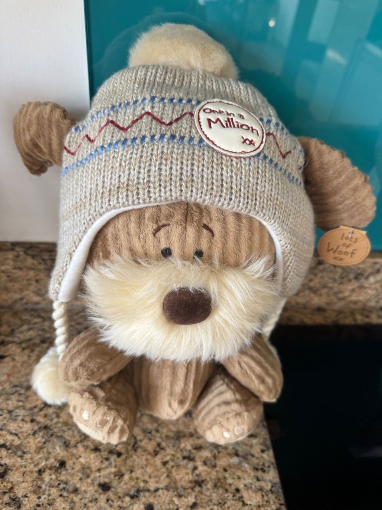 Cute Corduroy Dog Soft Toy with Knitted Hat