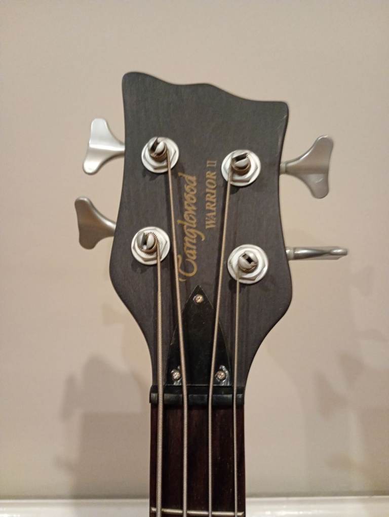 Bass guitar and Peavey amp