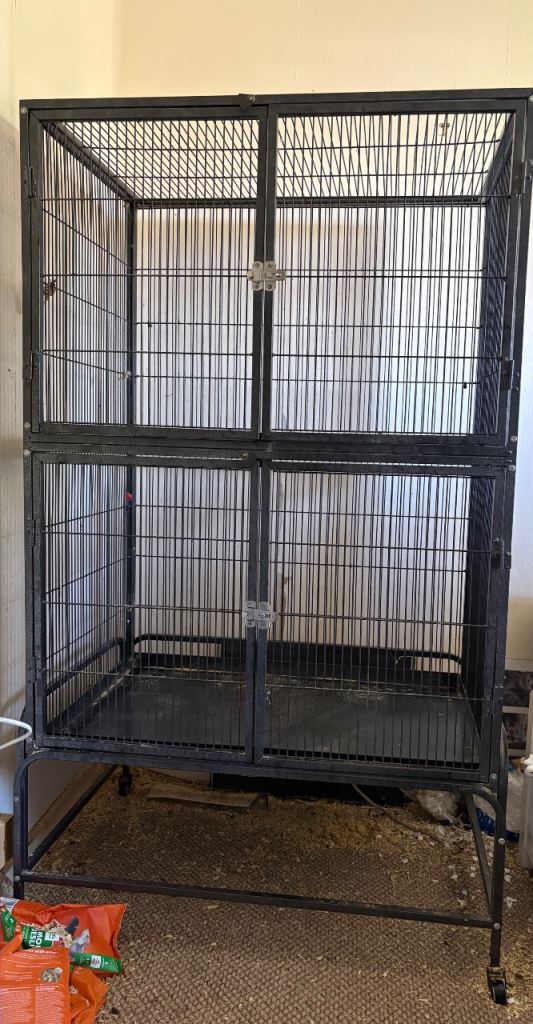 Large rat cage