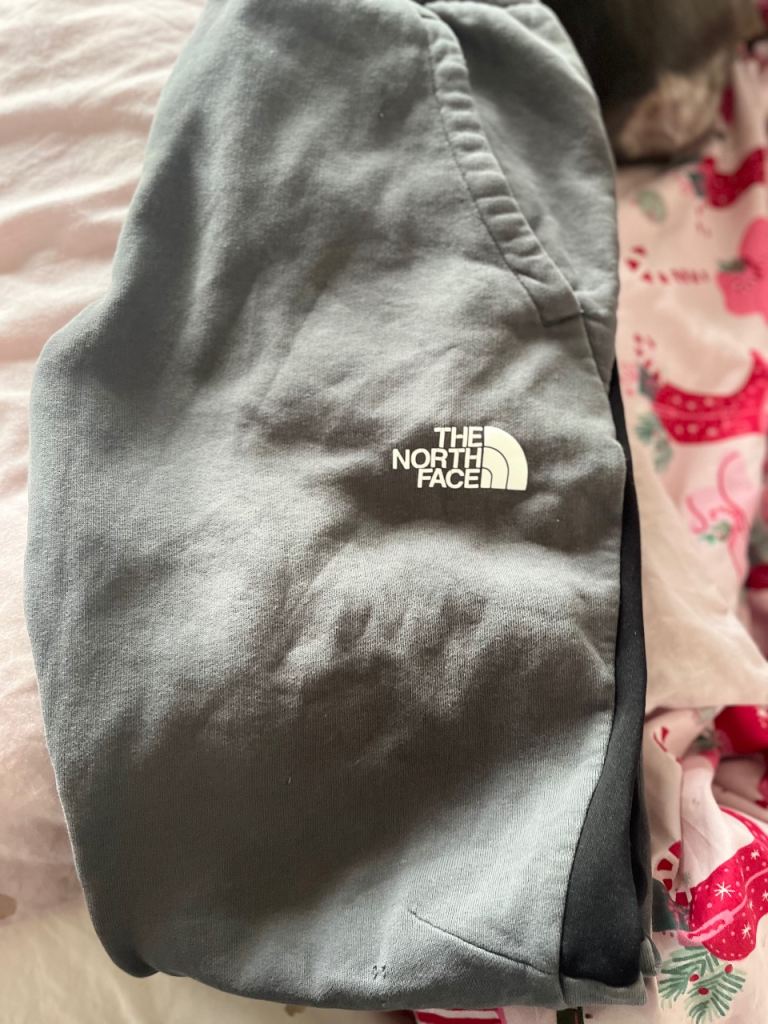 The North Face Grey Shorts – Good Condition