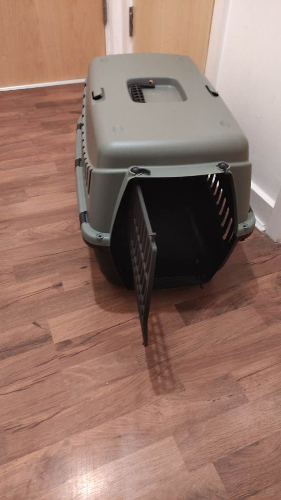 Tracker collar and carrier for cats