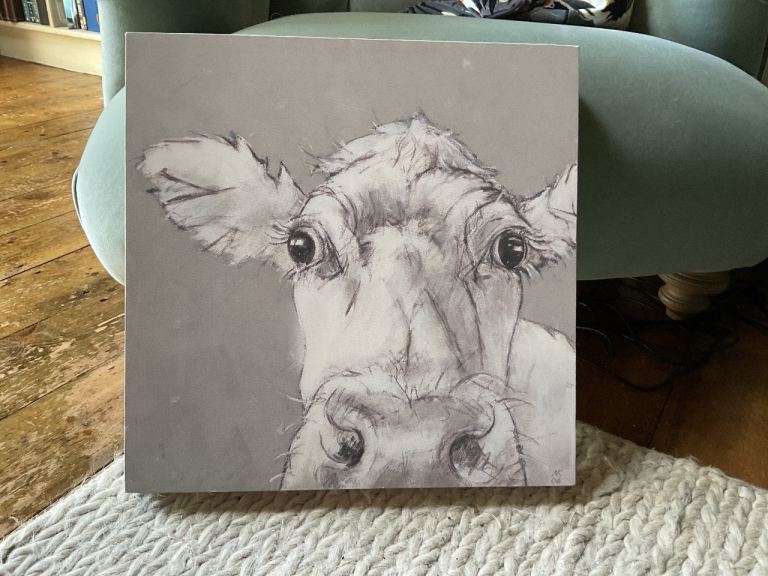 RARE King & McGraw Cow on Grey art canvas picture artist Nicola King 40cm square