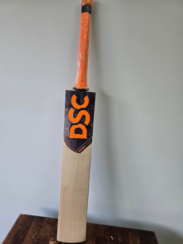 DSC English willow cricket bat SH 