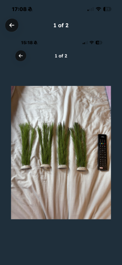 4 long fish tank aquarium plants £5 for all 