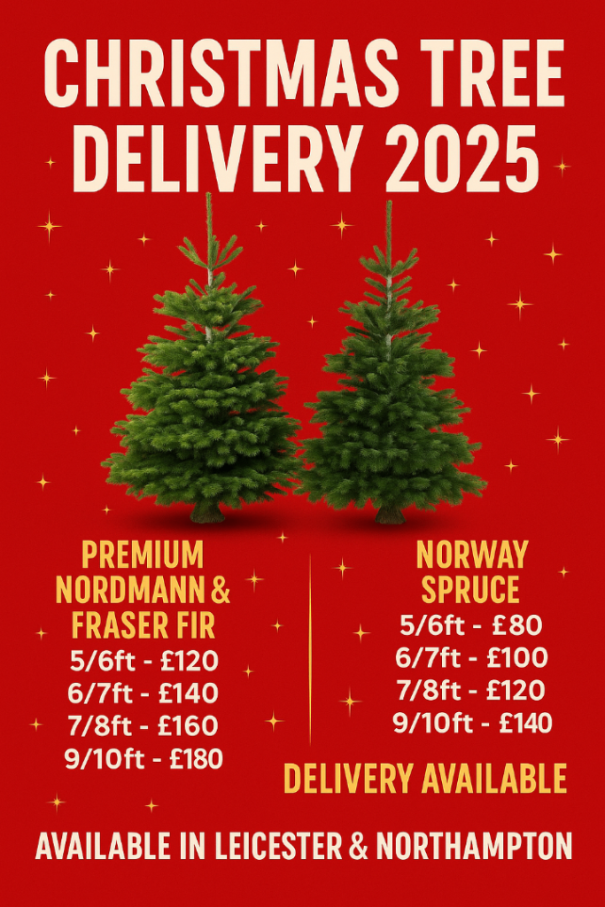 Christmas Tree Delivery 