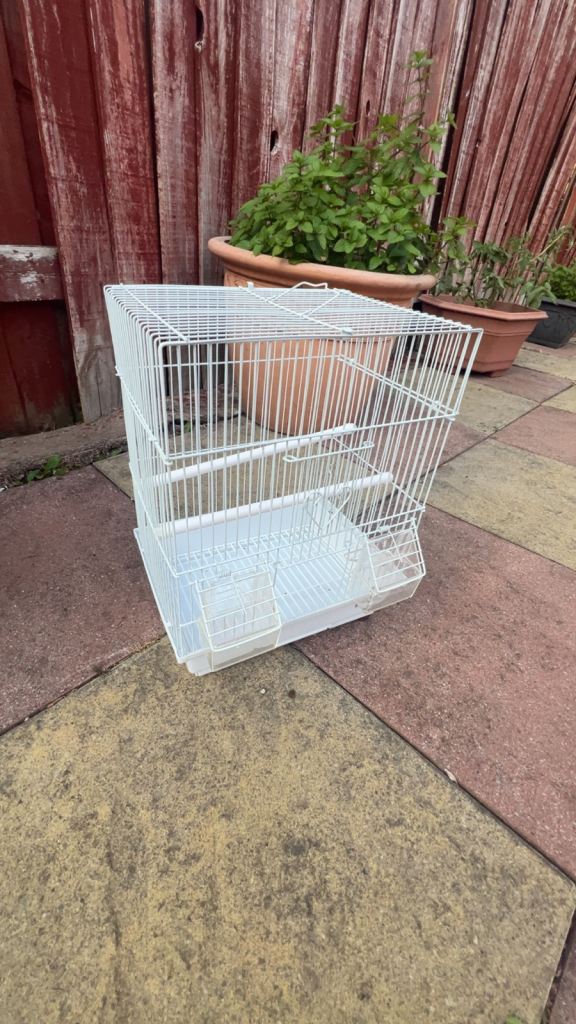 small bird cage 