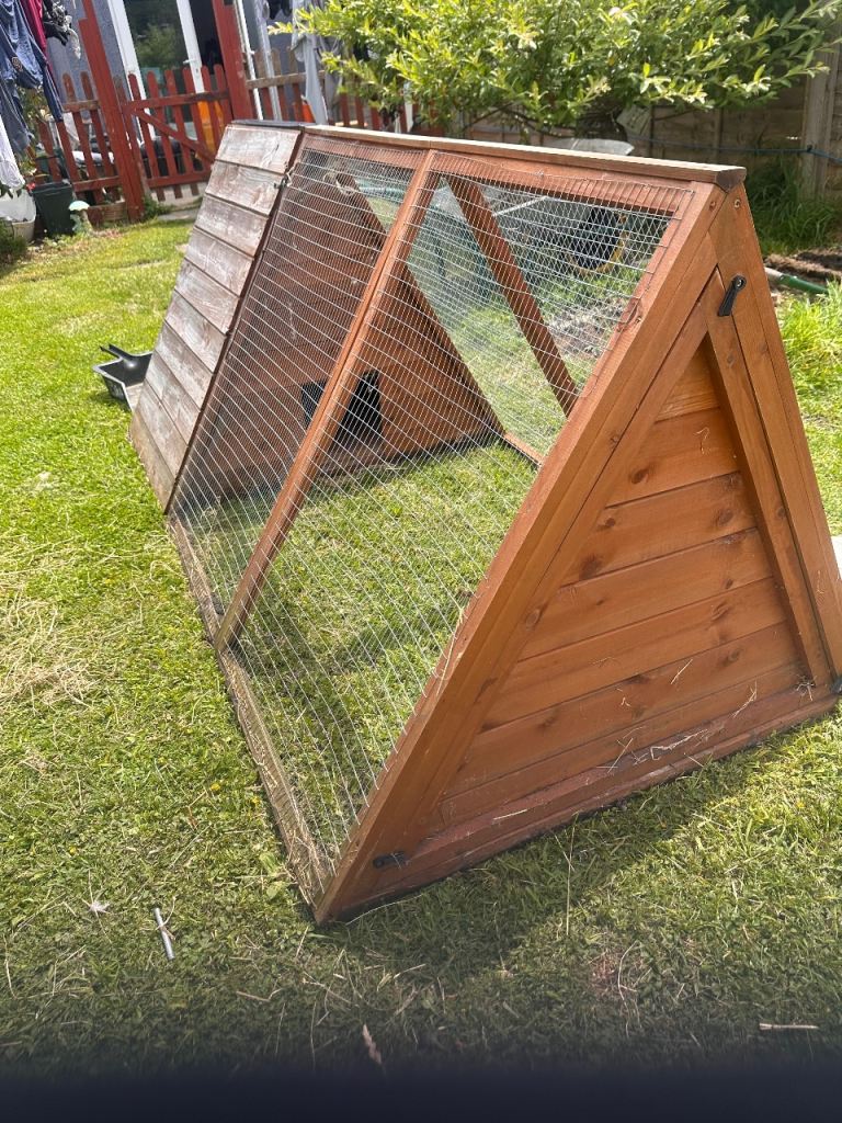 6ft guinea pig cage