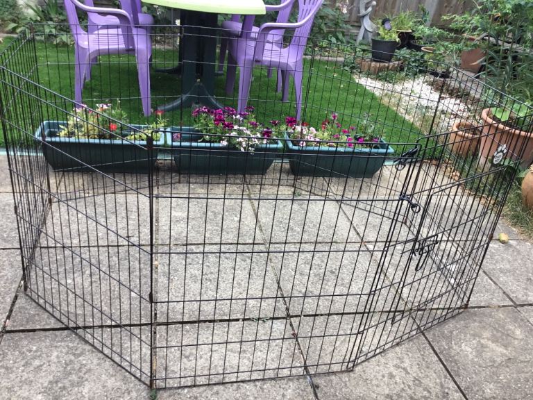 Puppy pen