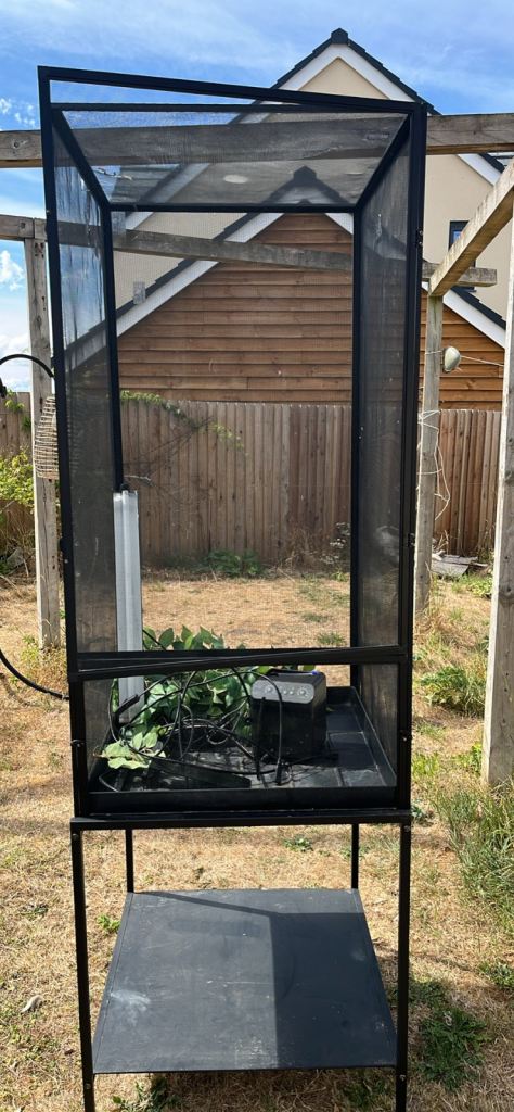 Chameleon enclosure