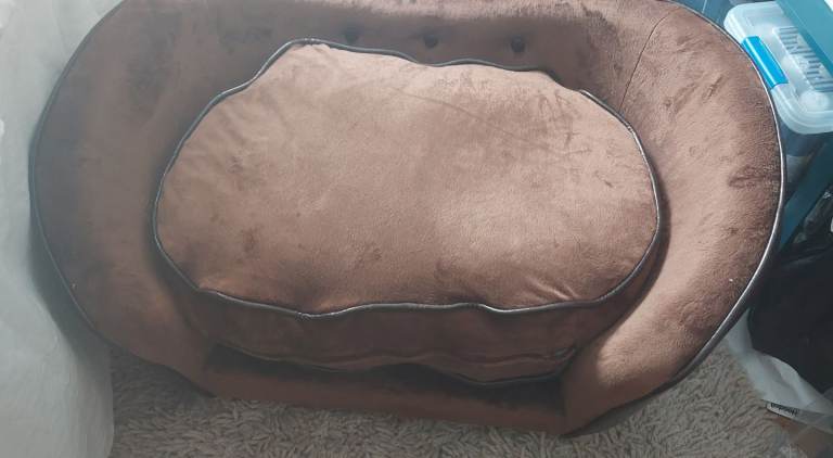 Gorgeous dog sofa bed