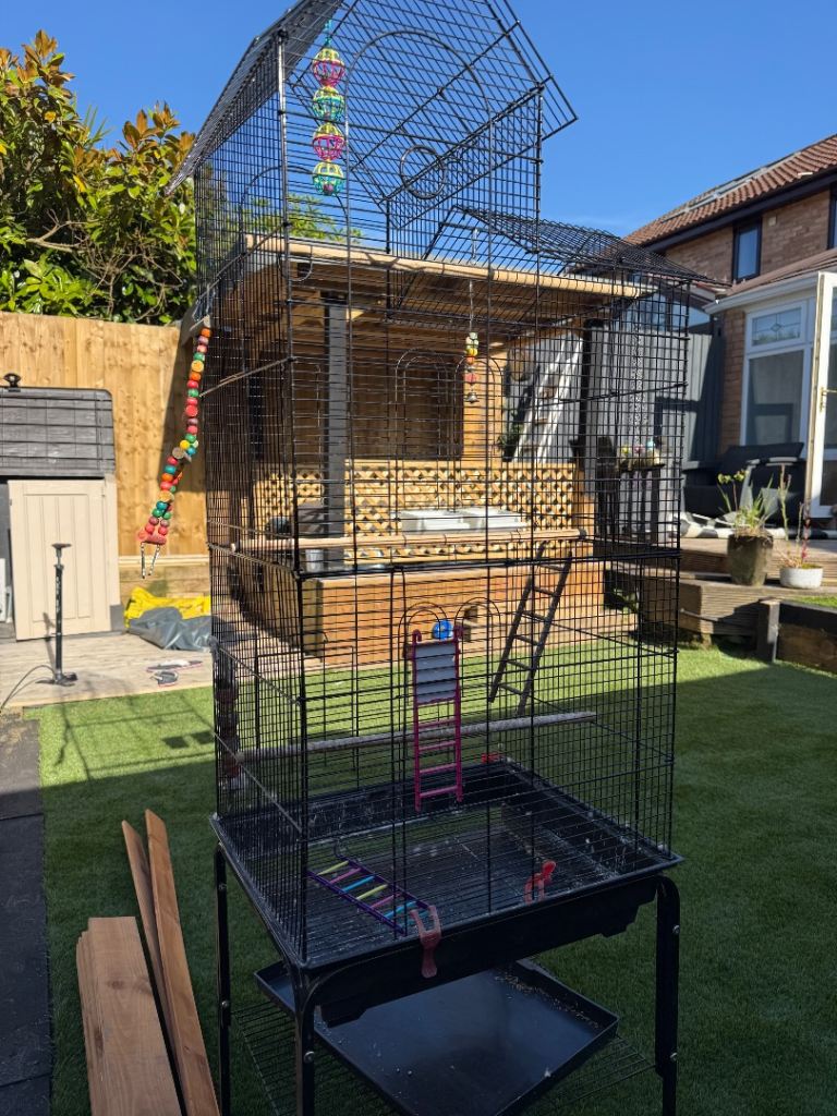 Bird Cage 