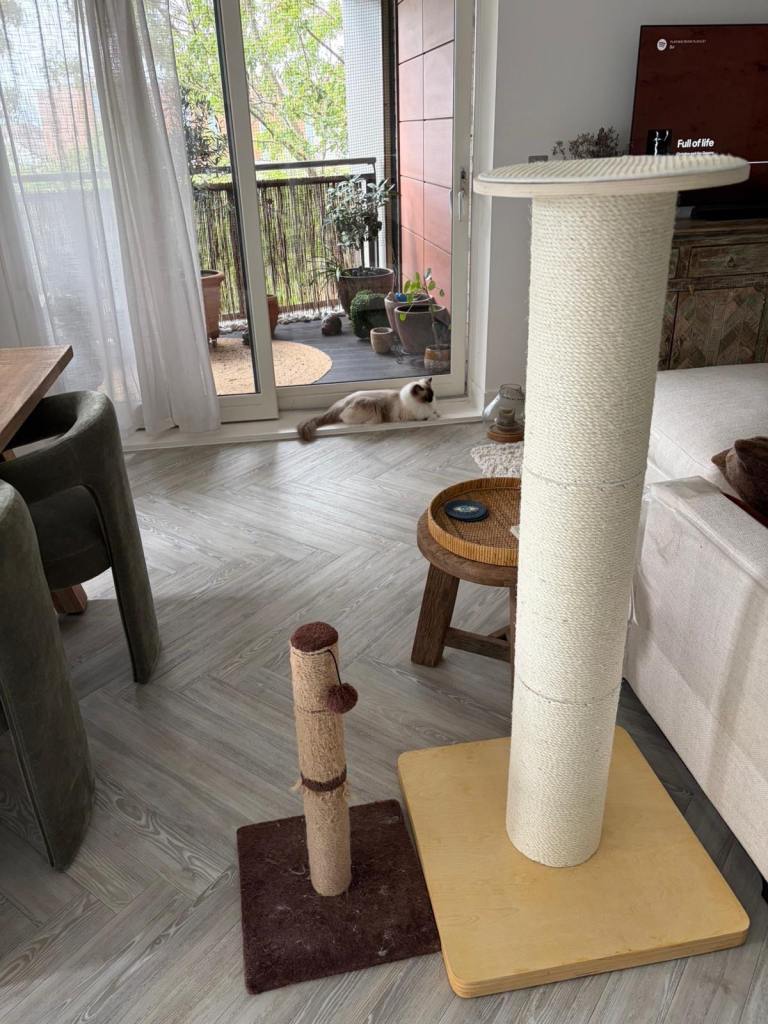 Extra Large Cat Scratching Post – £140RRP New in Box