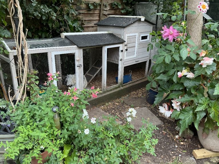 Chicken coop