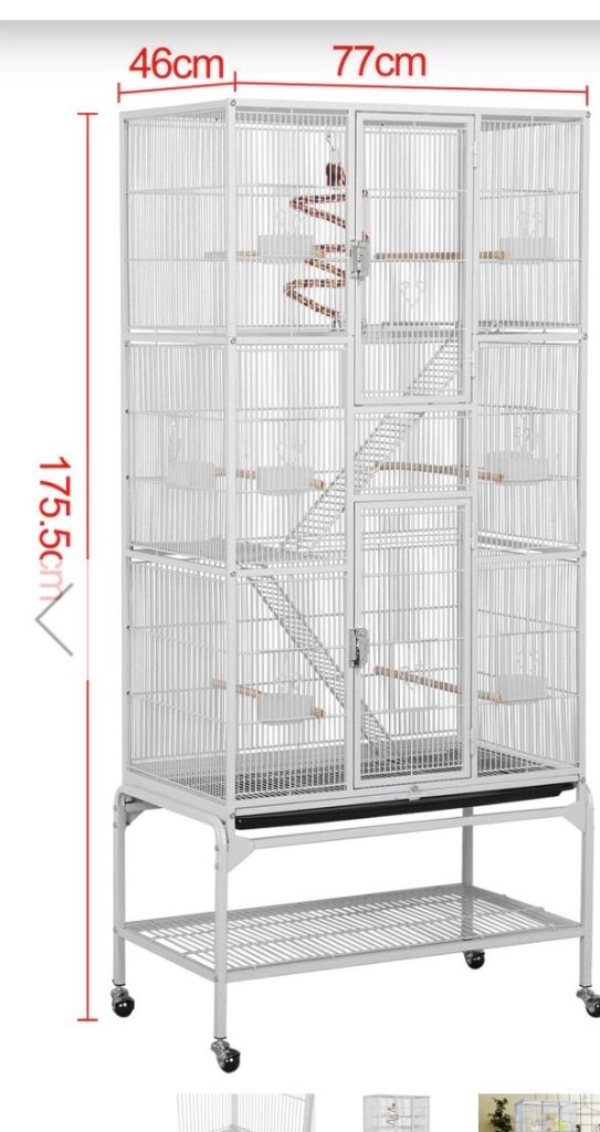 XL bird cage