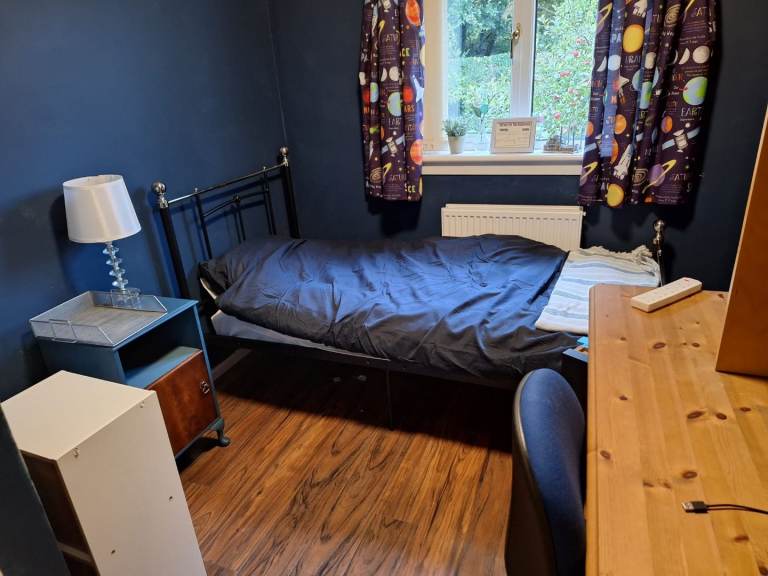 Single room to let bannockburn to professional 