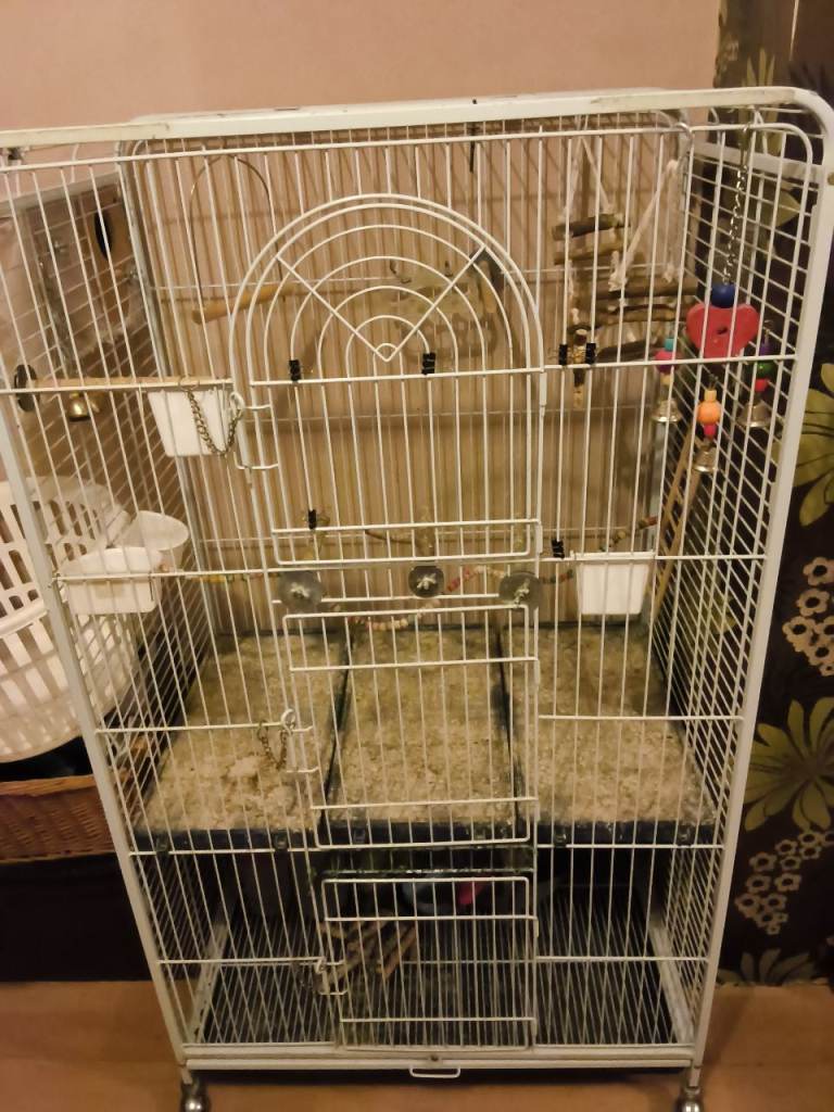 Bird cage 
