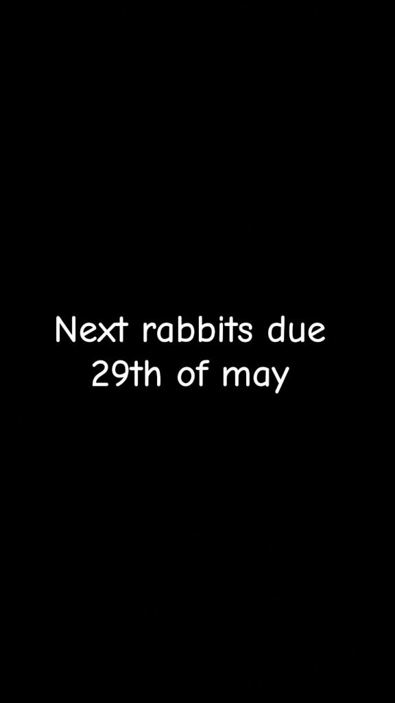 All rabbits gone next litter due to leave 29th of may 😊