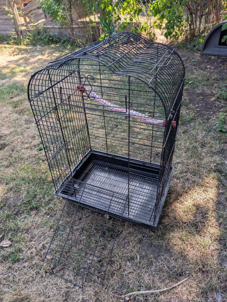 Bird cage 
