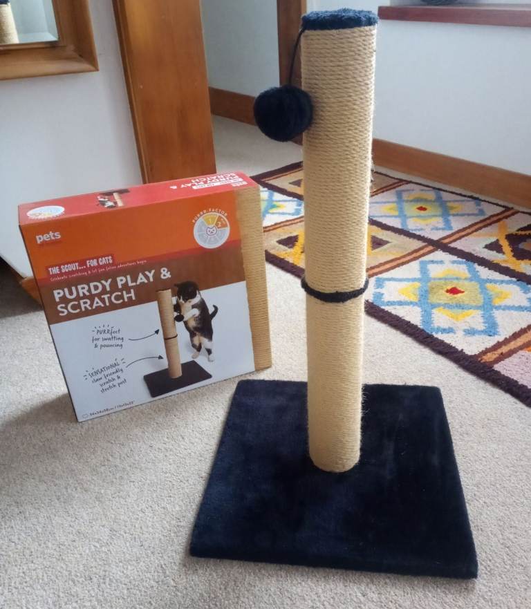 Brand new tall cat scratching post from Pets at Home
