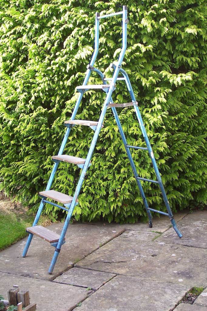 FOLDING STEP LADDER