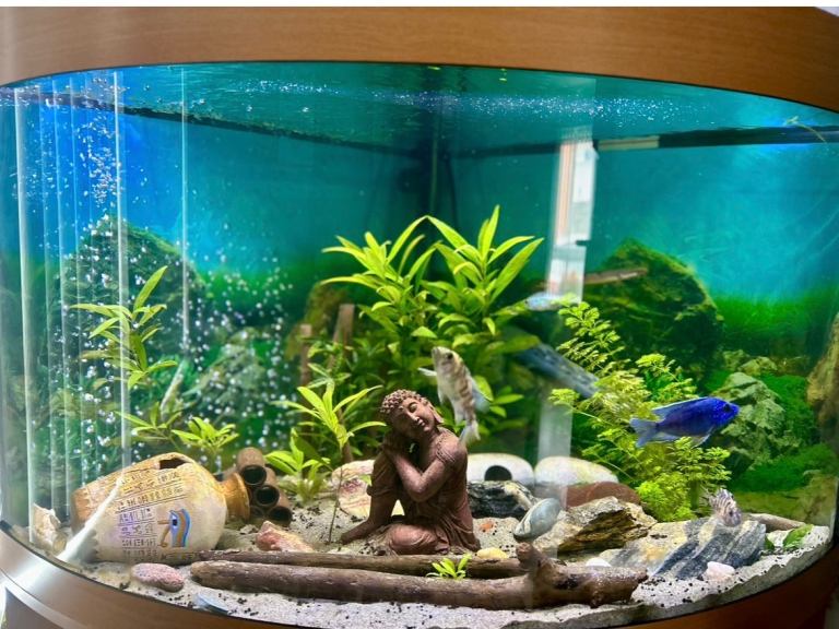 190L corner tank