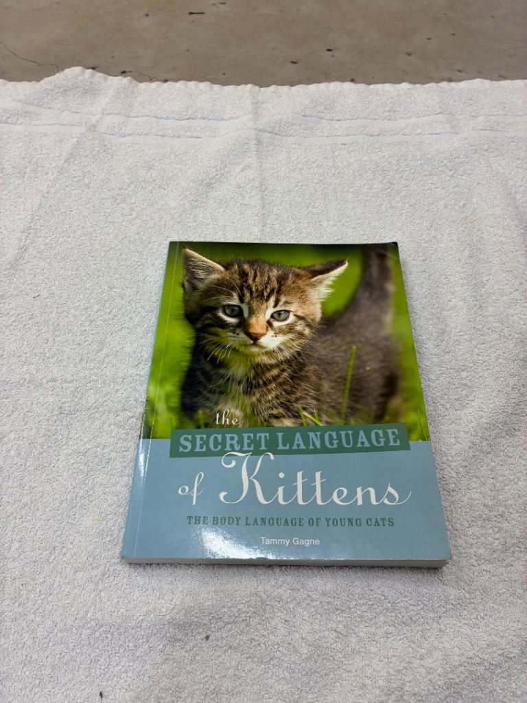 The Secret Language of Kittens Book 