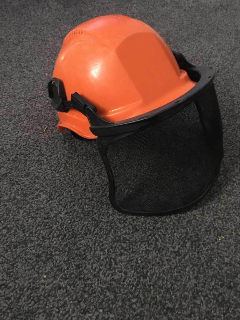 Safety helmet forestry visor