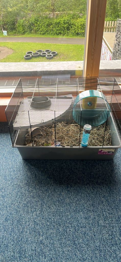 Hamster / Small Pet Cage – Good Condition with Accessories