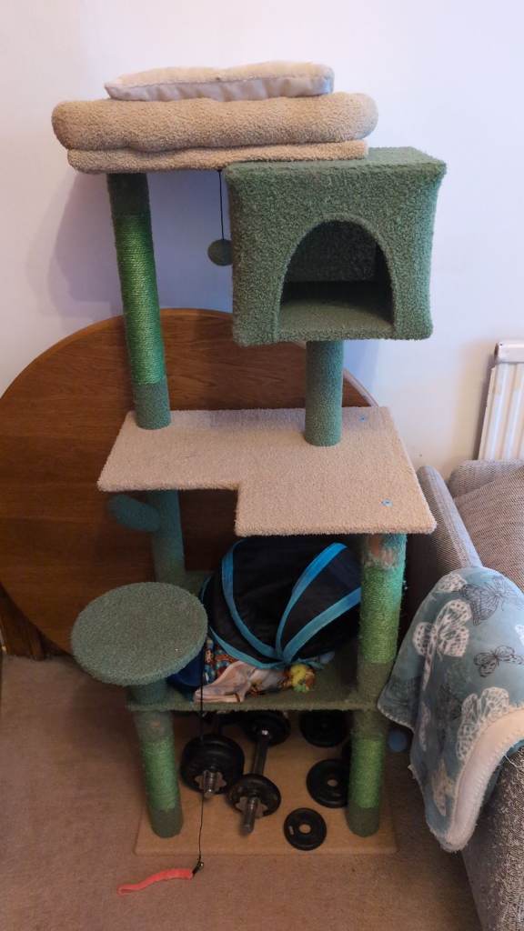 Large Cat Tree